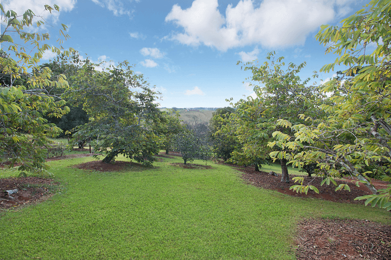 57 Loders Road, Duranbah, NSW 2487