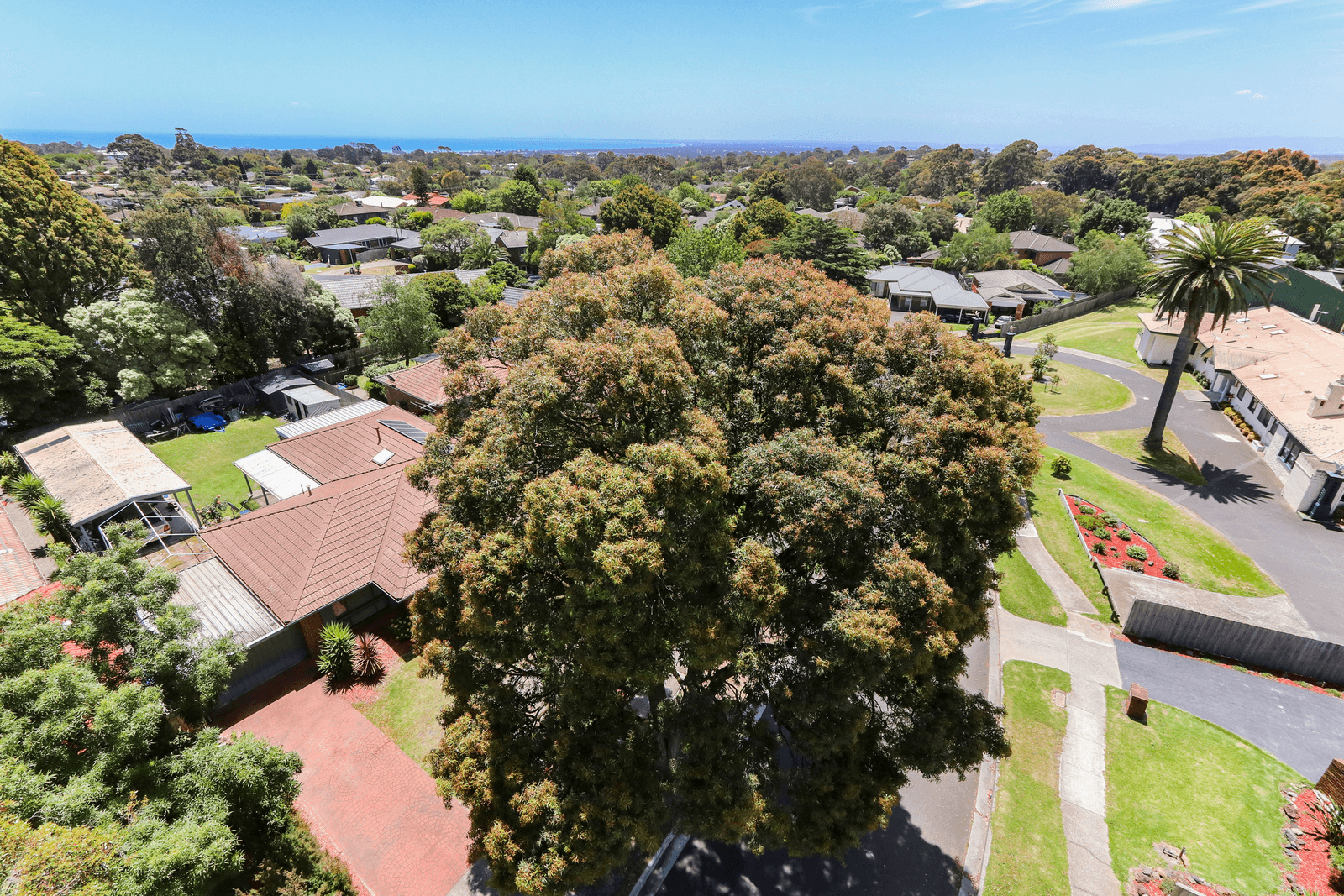 18 Netherplace Drive, FRANKSTON, VIC 3199