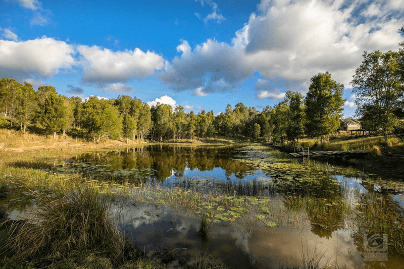 98 Doon Doon Road, Kunghur, NSW 2484