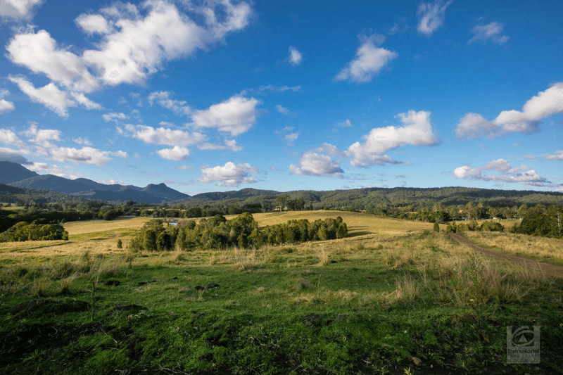 98 Doon Doon Road, Kunghur, NSW 2484