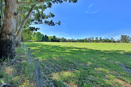 191 Bloodtree Road, MANGROVE MOUNTAIN, NSW 2250