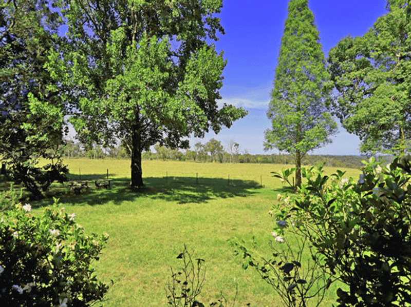 191 Bloodtree Road, MANGROVE MOUNTAIN, NSW 2250