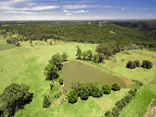 191 Bloodtree Road, MANGROVE MOUNTAIN, NSW 2250