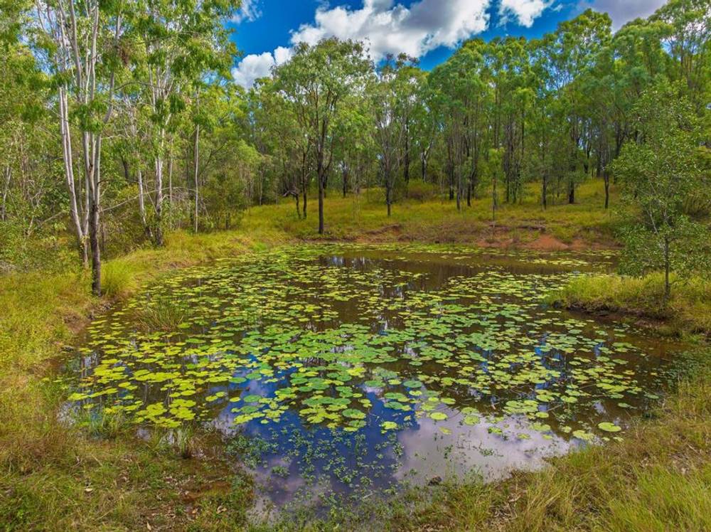 117 Old Greendale Road, GLASTONBURY, QLD 4570