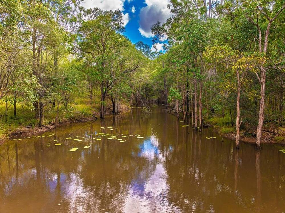 117 Old Greendale Road, GLASTONBURY, QLD 4570