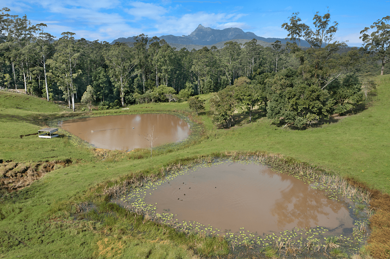 189 Hopkins Creek Road, HOPKINS CREEK, NSW 2484