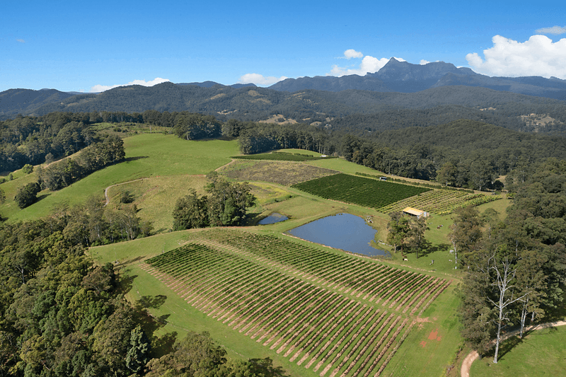 189 Hopkins Creek Road, HOPKINS CREEK, NSW 2484