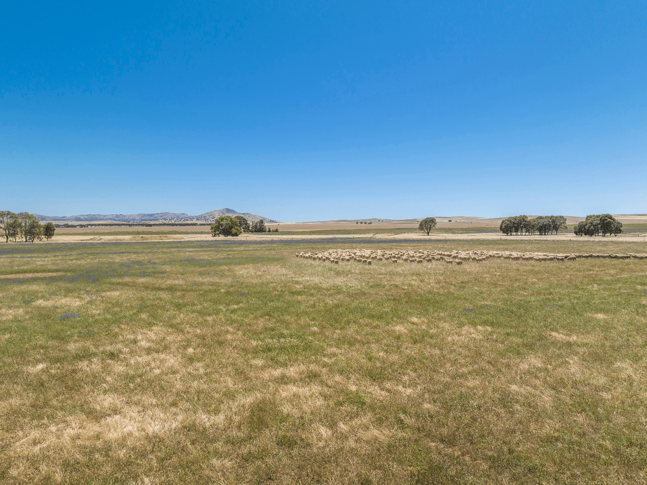 'Stoltes' Kolinda Road, MOUNT BRYAN, SA 5418