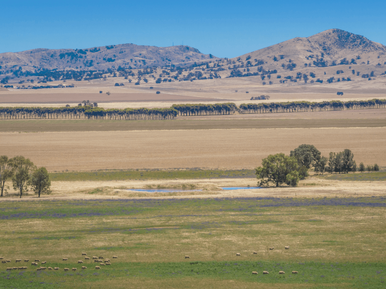'Stoltes' Kolinda Road, MOUNT BRYAN, SA 5418