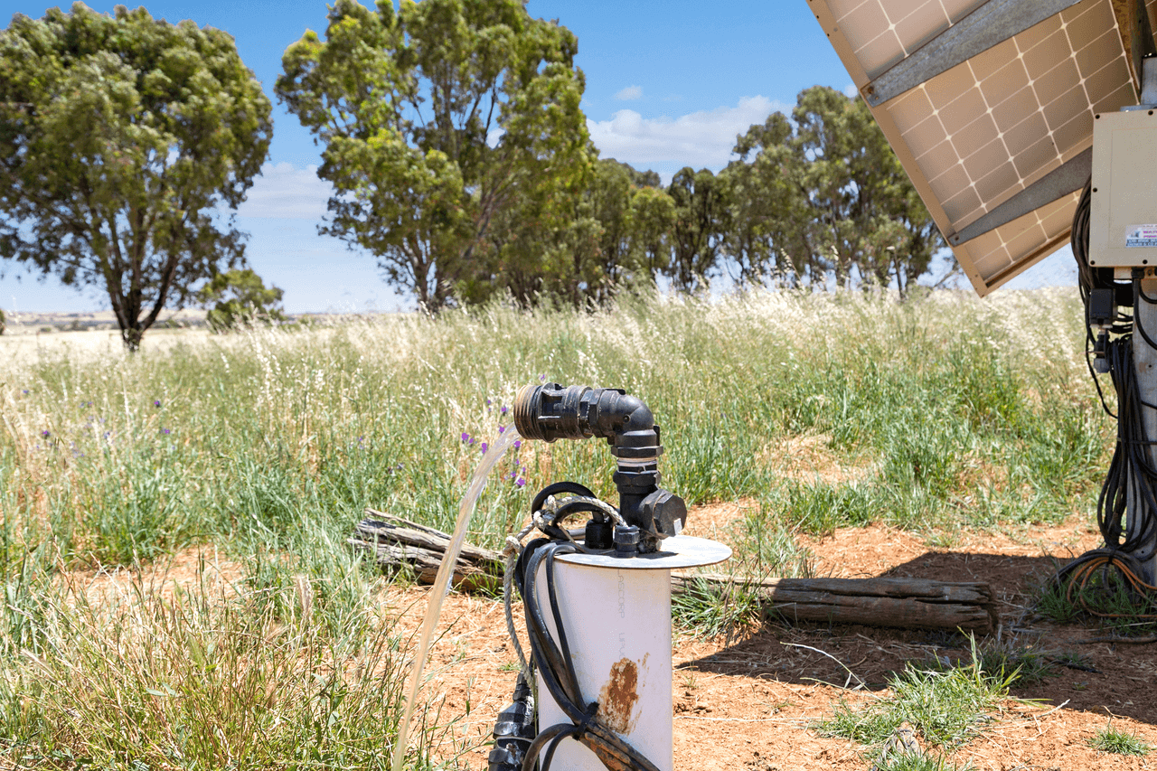 'Stoltes' Kolinda Road, MOUNT BRYAN, SA 5418