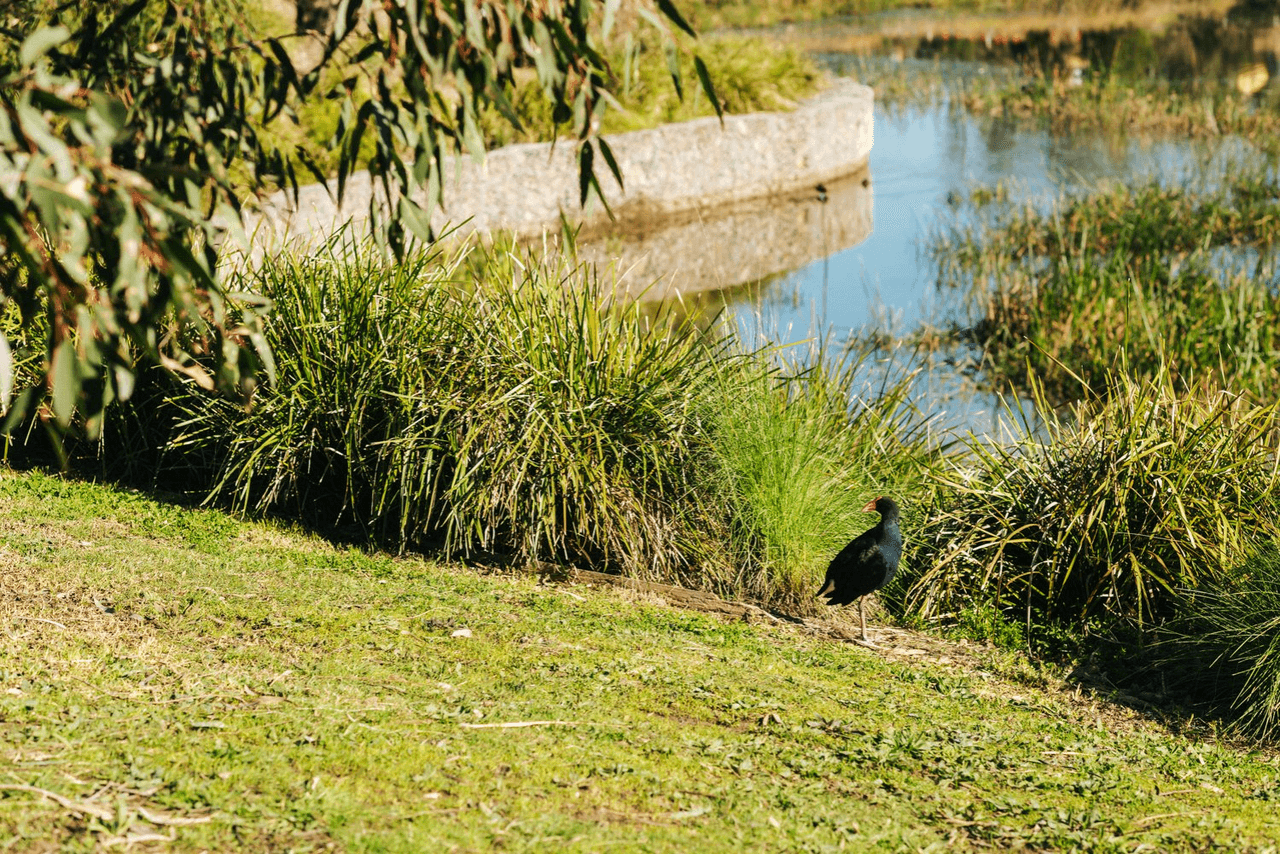 3 Weir Loop (Lot 61), BUNDOORA, VIC 3083