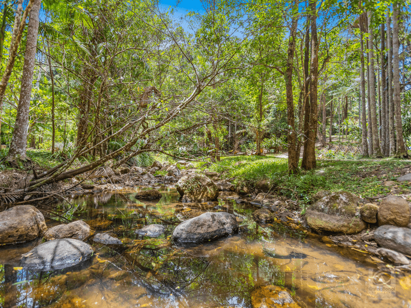 484 Upper Wilsons Creek Road, Upper Wilsons Creek, NSW 2482