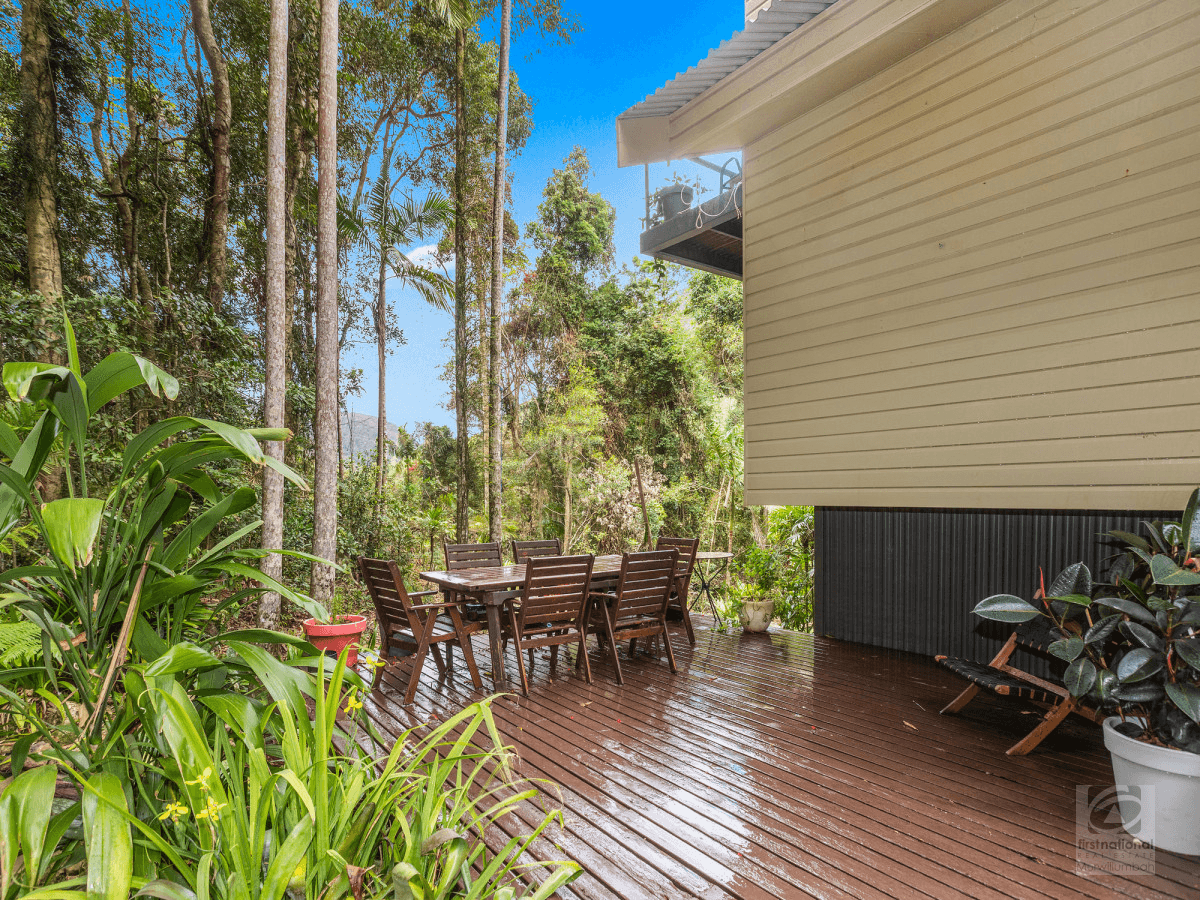 484 Upper Wilsons Creek Road, Upper Wilsons Creek, NSW 2482