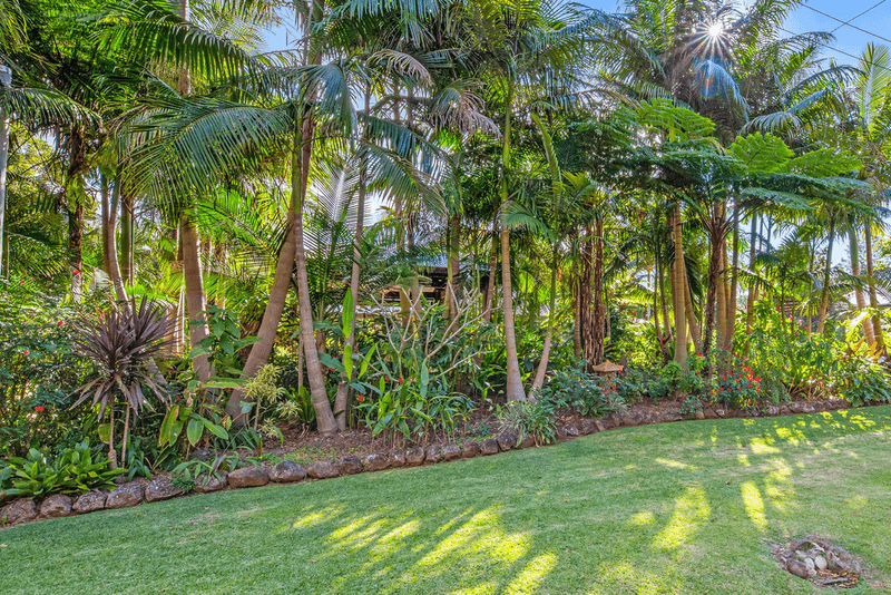 41-43 Caryota Court, TAMBORINE MOUNTAIN, QLD 4272