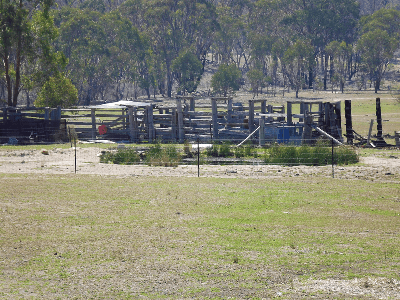 Silent Grove Road, TORRINGTON, NSW 2371