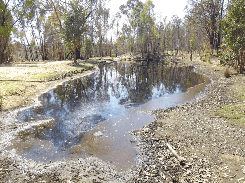 Silent Grove Road, TORRINGTON, NSW 2371