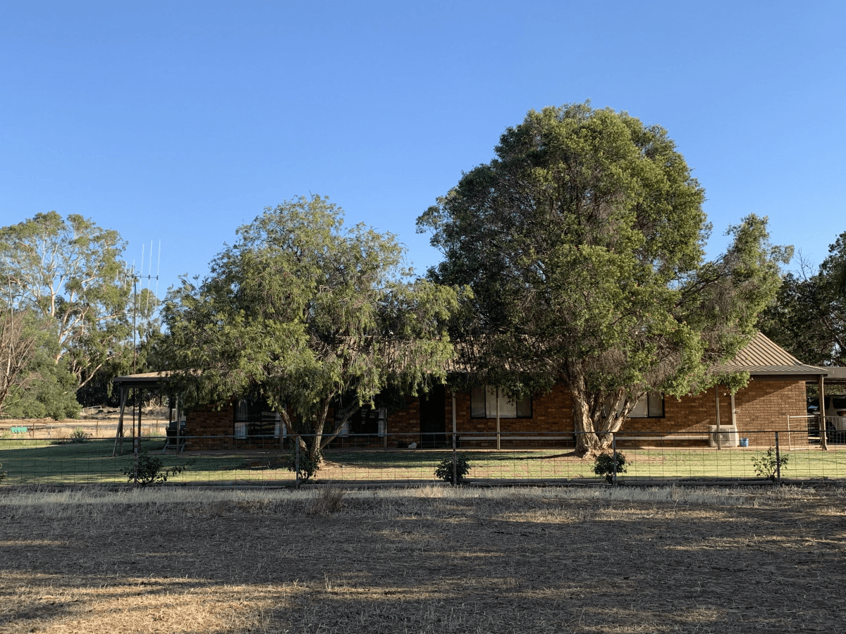 6176  Wakool Road, Wakool, NSW 2710