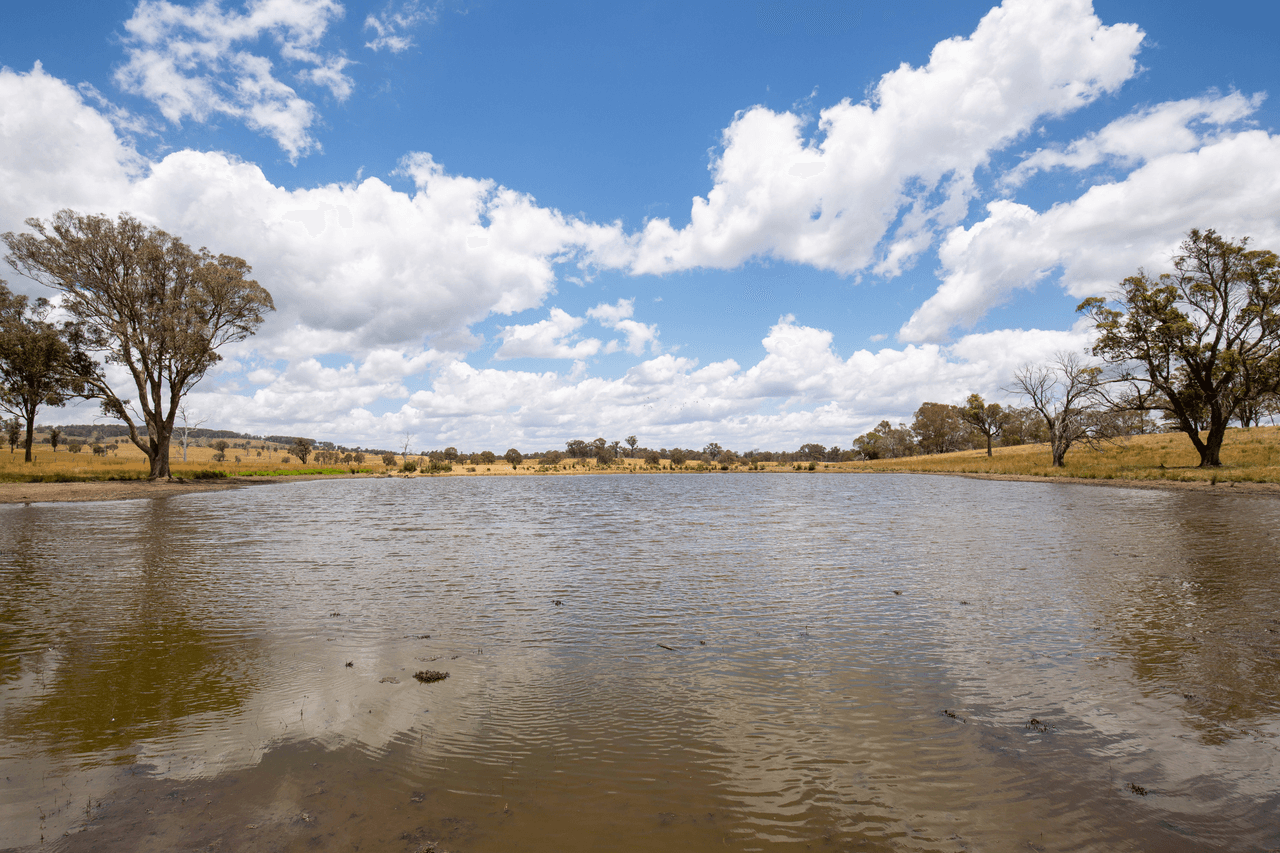 1590 Old Armidale Road, GUYRA, NSW 2365