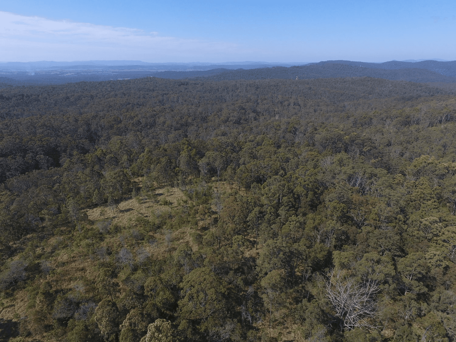 139 Leslie Creek Road, DRAKE, NSW 2469