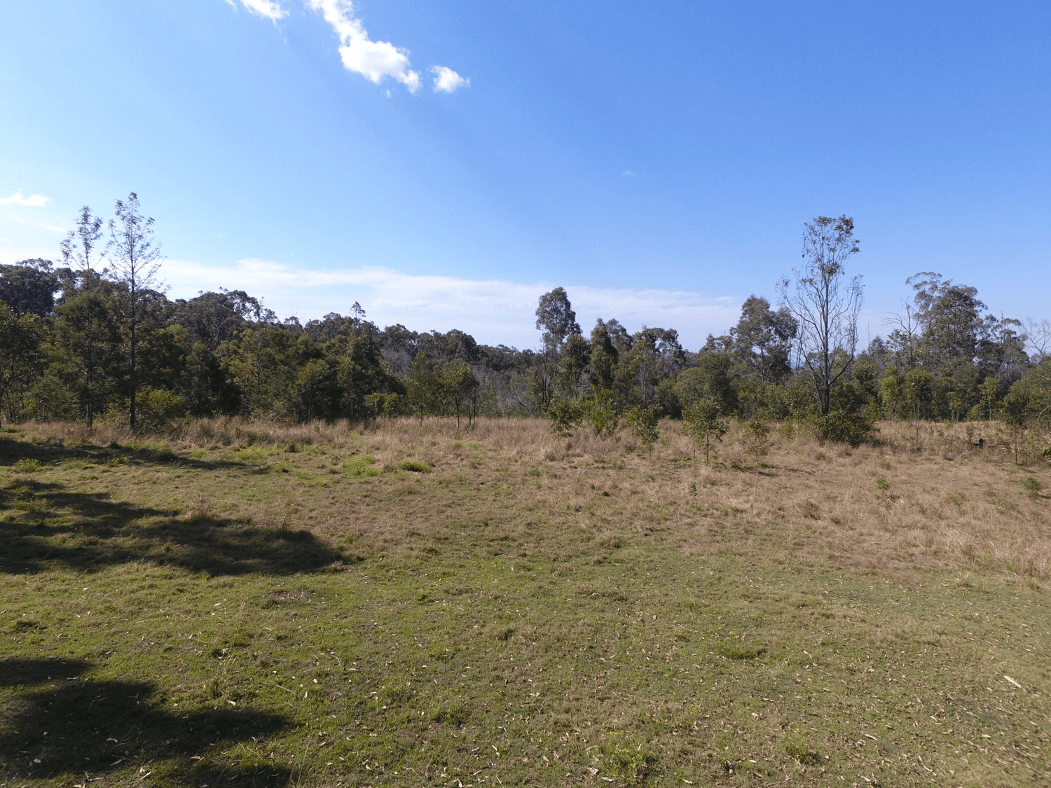 139 Leslie Creek Road, DRAKE, NSW 2469