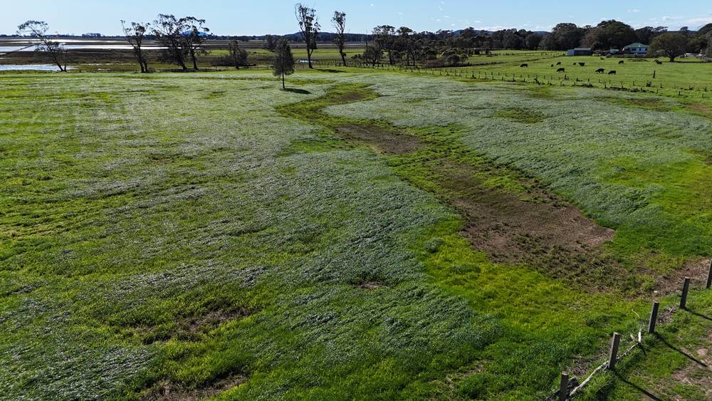 46 Upper Belmore River Rd, Belmore River, NSW 2440