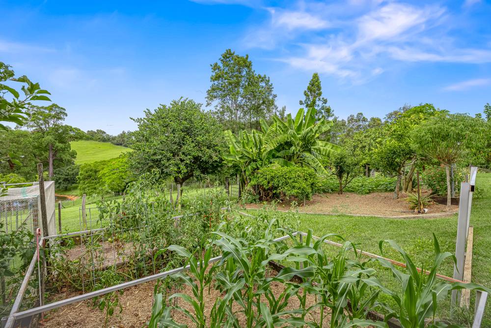 171 Wilton Road, GREENS CREEK, QLD 4570