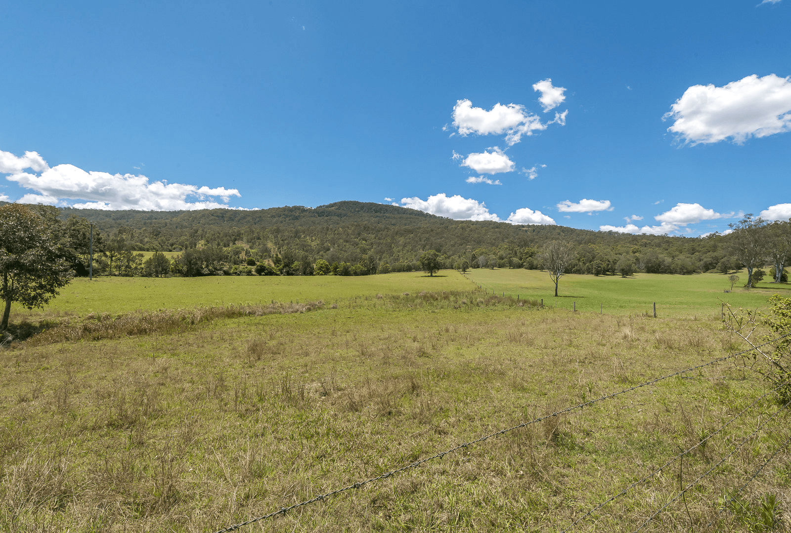 2558 Beaudesert Nerang Road, CANUNGRA, QLD 4275