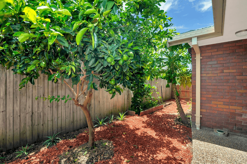 13 Treeview Drive, Burleigh Waters, QLD 4220