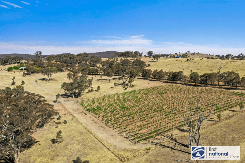 61 Vivian Lane, YASS RIVER, NSW 2582