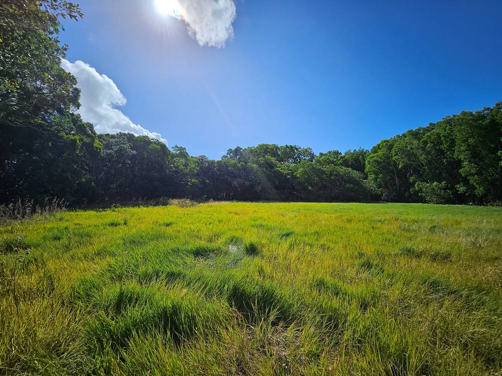 47 Howard Street, COOKTOWN, QLD 4895