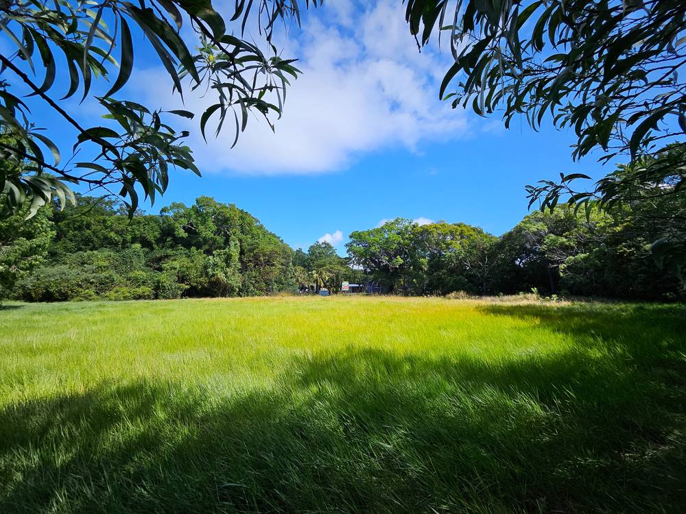47 Howard Street, COOKTOWN, QLD 4895