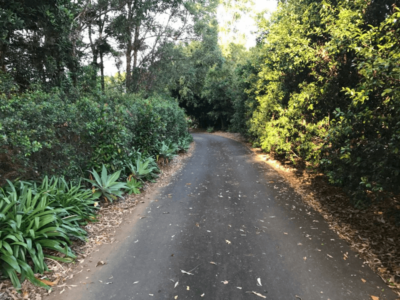 283A The Manse Road, MYOCUM, NSW 2481