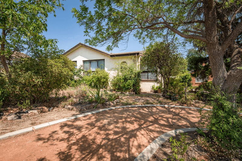 13 Jefferis Street, TORRENS, ACT 2607