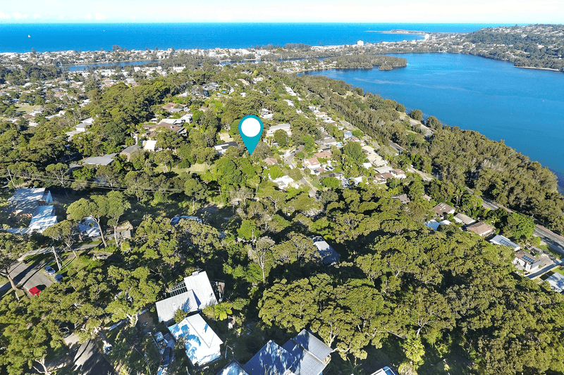 48 Carefree Road, North Narrabeen, NSW 2101