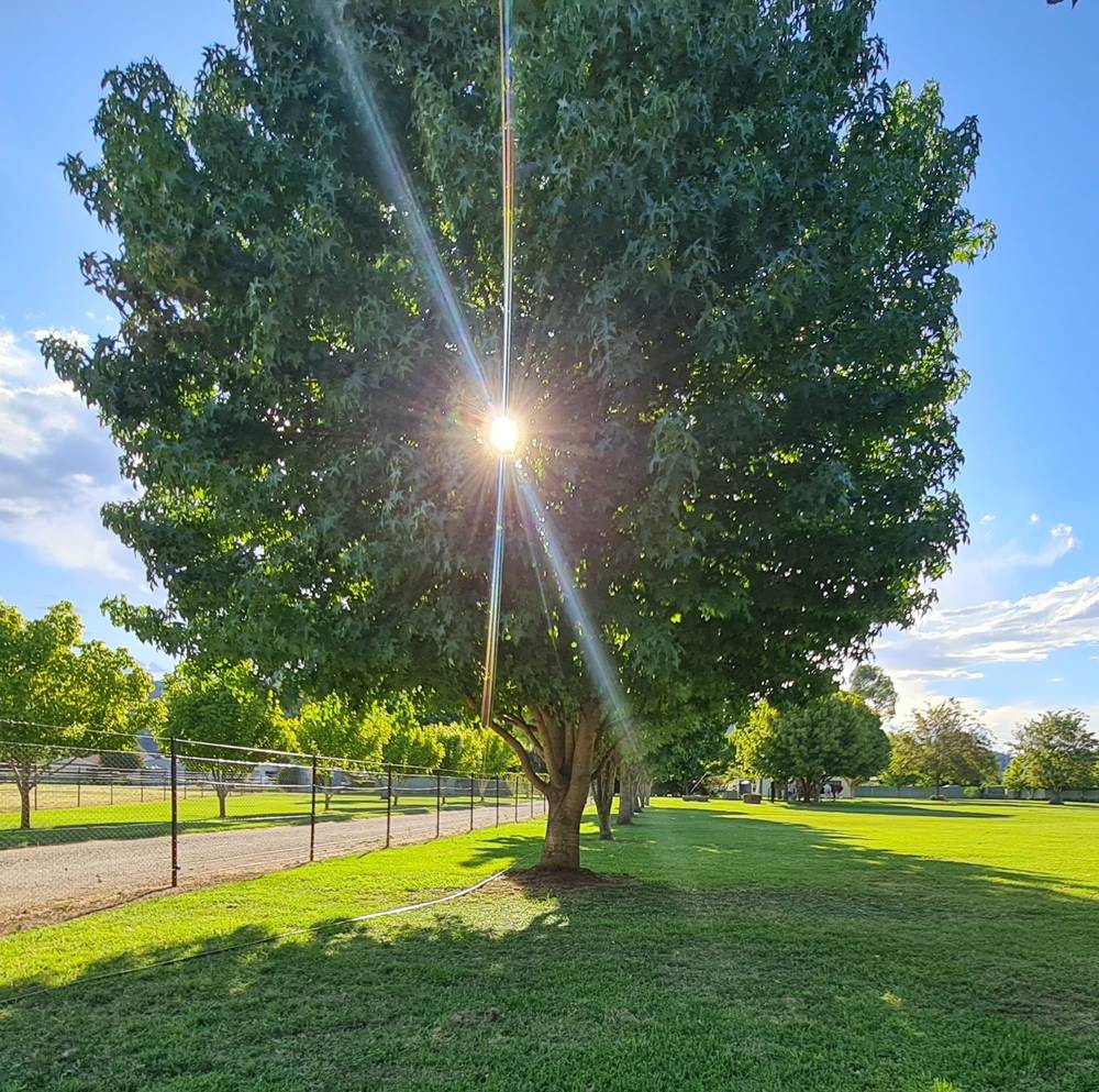 5 Melaleuca Drive, Wellington, NSW 2820