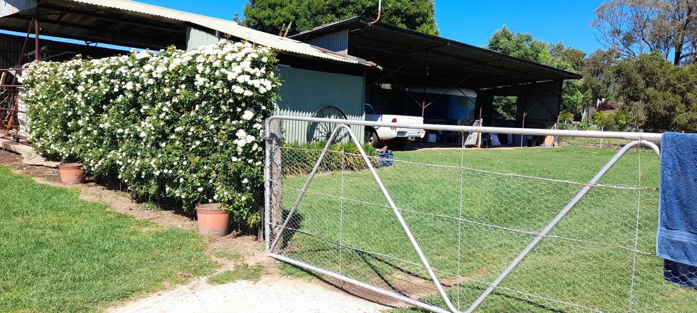 5 Melaleuca Drive, Wellington, NSW 2820