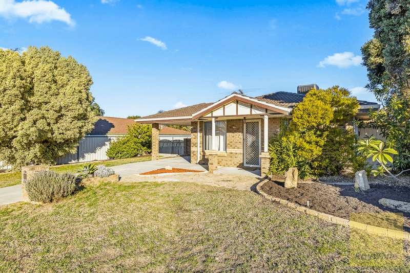 19 Akita Court, MERRIWA, WA 6030