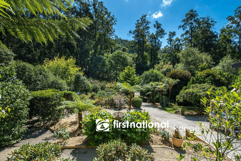 234 Monbulk Road, MONBULK, VIC 3793