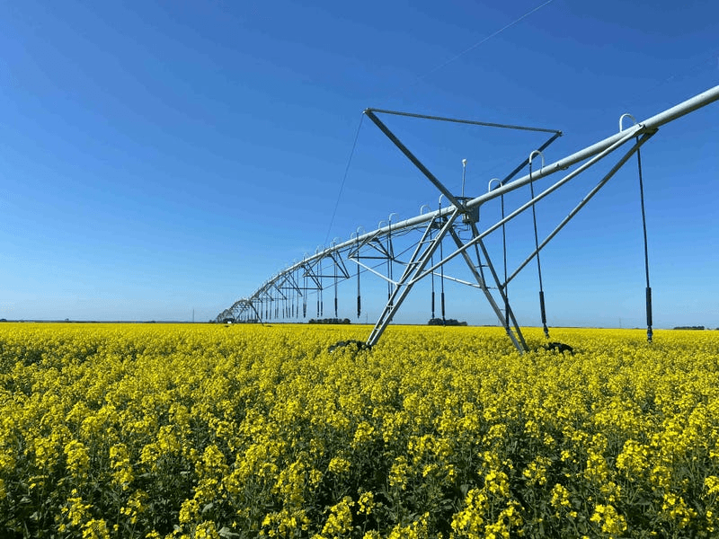 Corinella Group Portfolio, Victoria & South Australia, LAKE BOLAC, VIC 3351