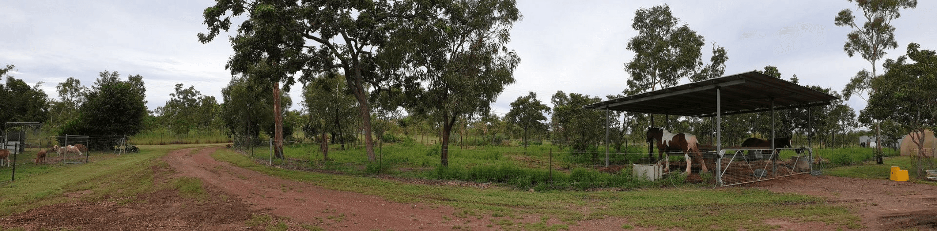 584 Chibnall Rd, FLY CREEK, NT 0822