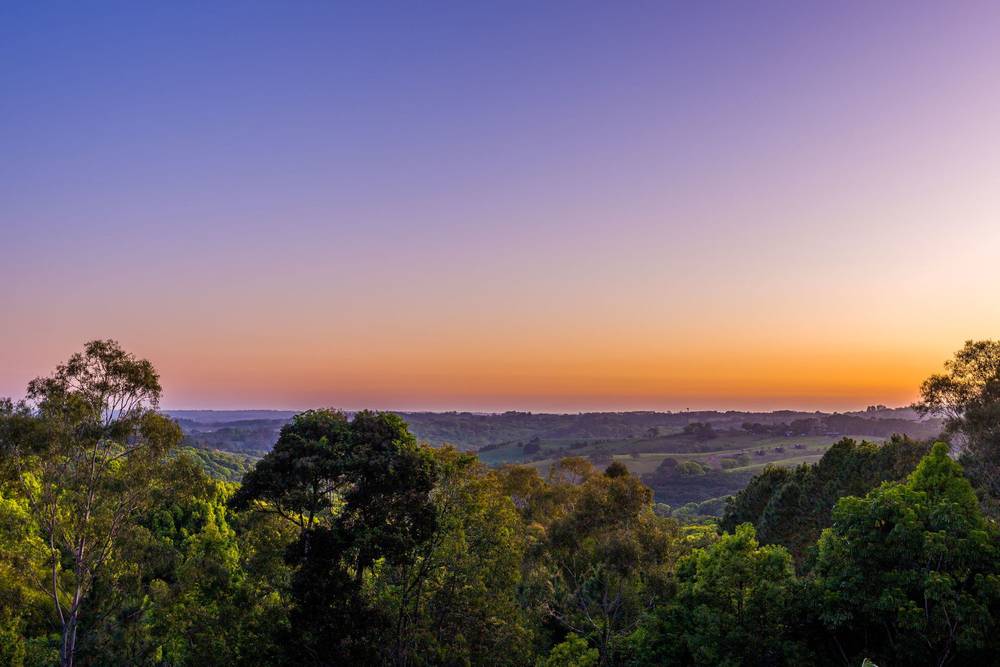 497 Coolamon Scenic Drive, Coorabell, NSW 2479