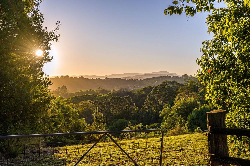 497 Coolamon Scenic Drive, Coorabell, NSW 2479