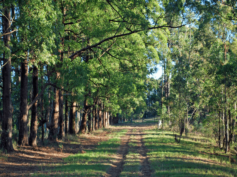 650 Kyola Road, KULNURA, NSW 2250