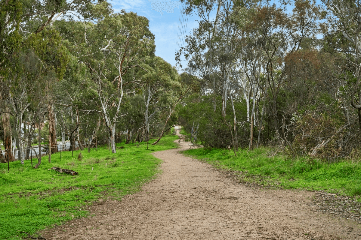 7 Reservoir Drive, FLAGSTAFF HILL, SA 5159