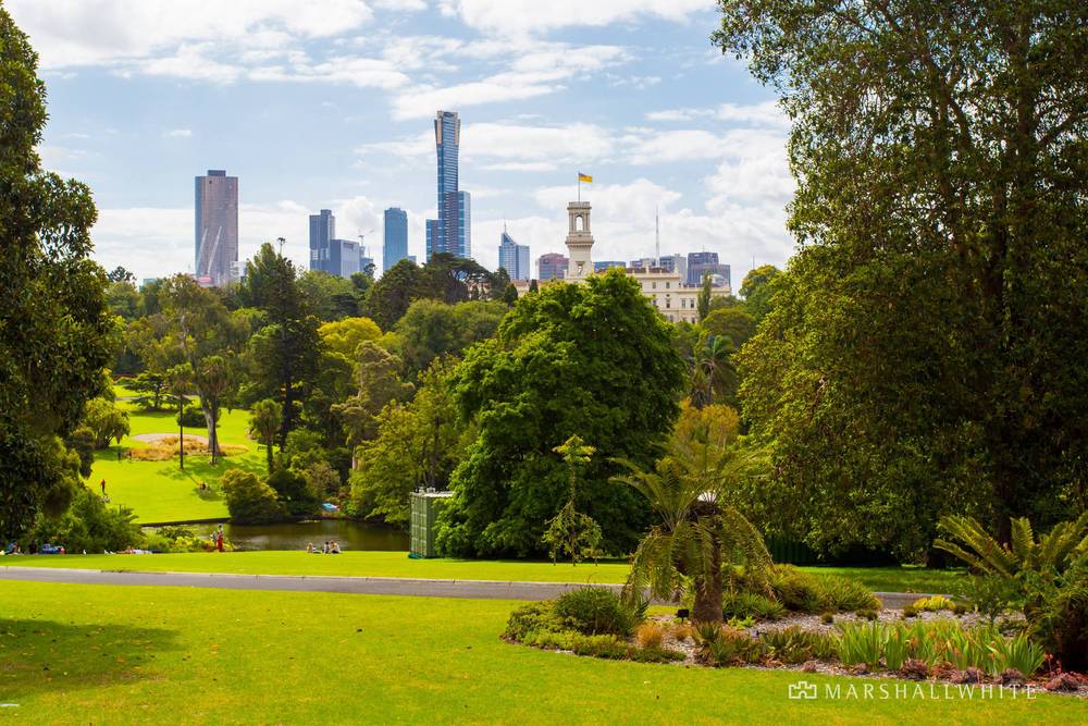 5/206 Domain Road, South Yarra, VIC 3141