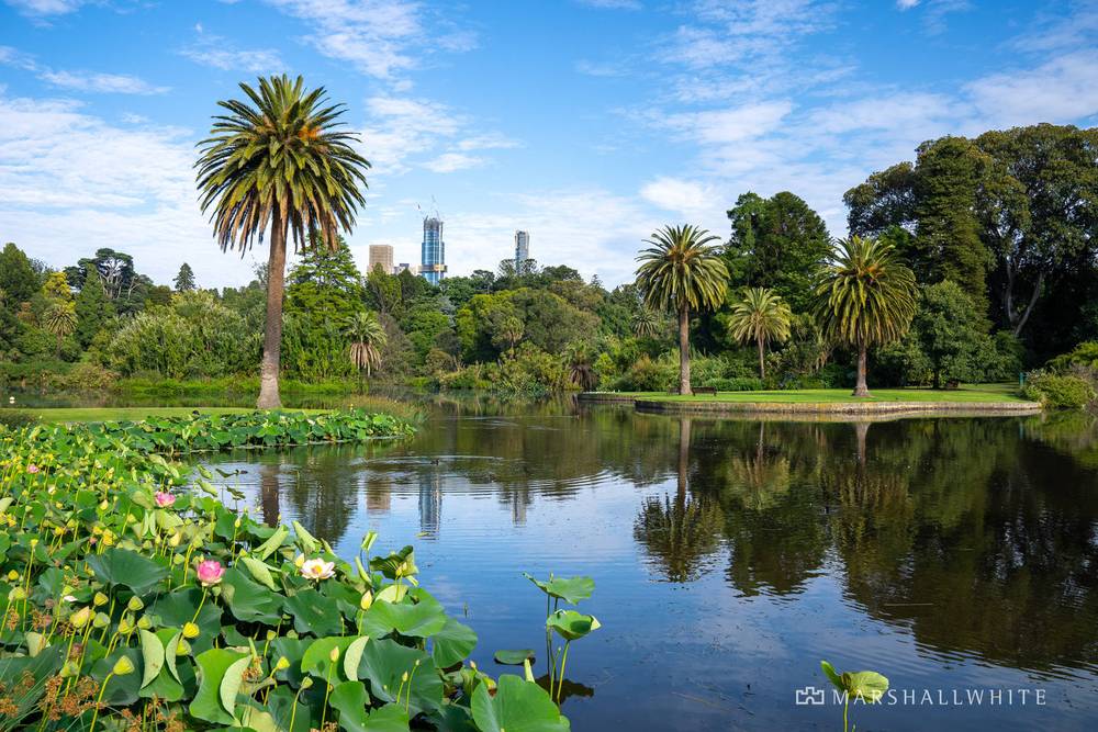 5/206 Domain Road, South Yarra, VIC 3141