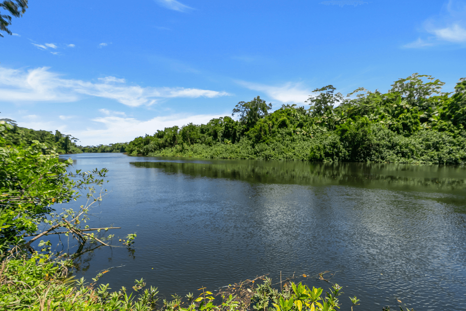 Lot 20 Barbagallo Road, Aloomba, QLD 4871