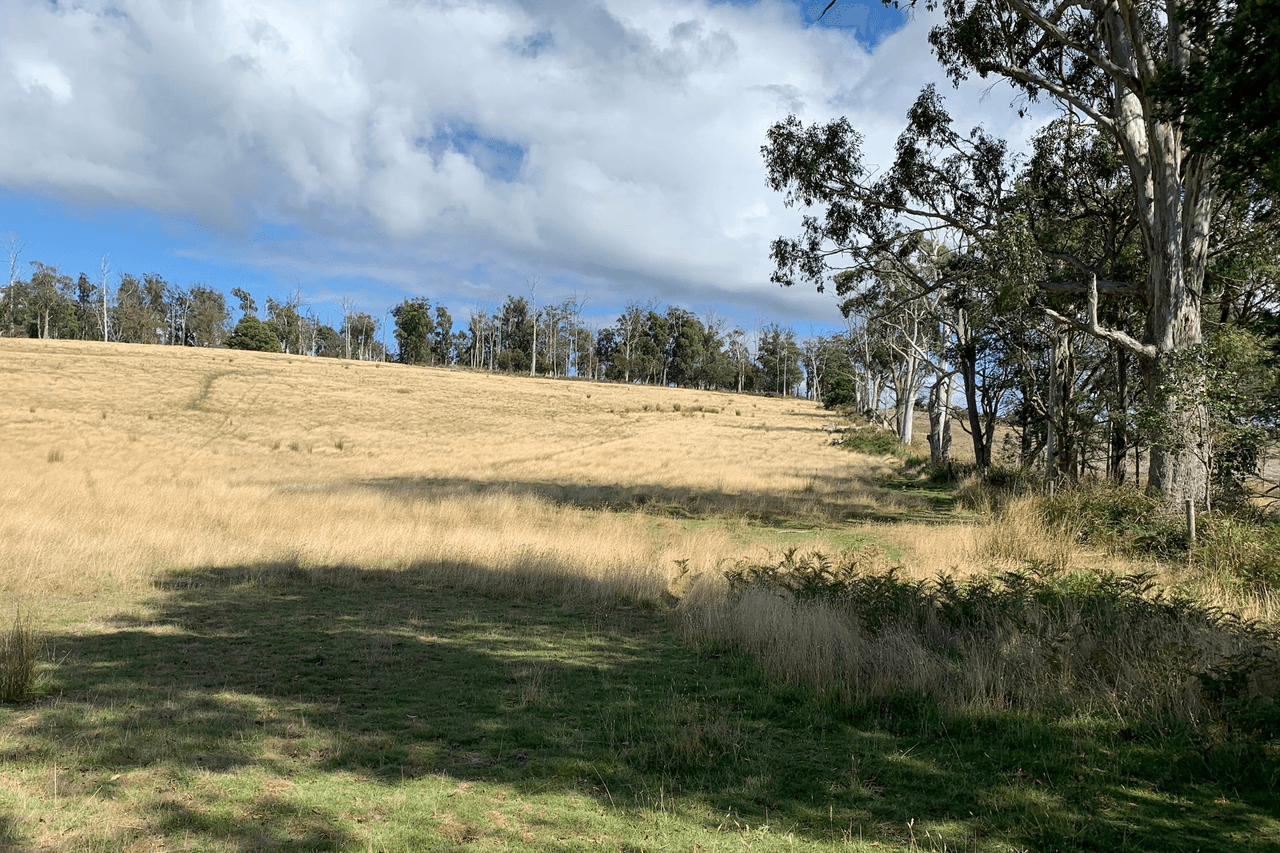 57 Lightwood Hills Road, Beaconsfield, TAS 7270