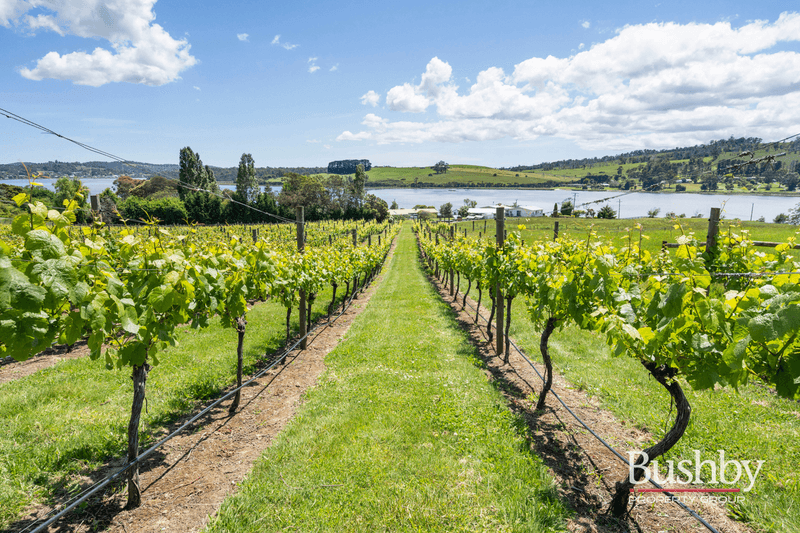 239 Rosevears Drive, ROSEVEARS, TAS 7277