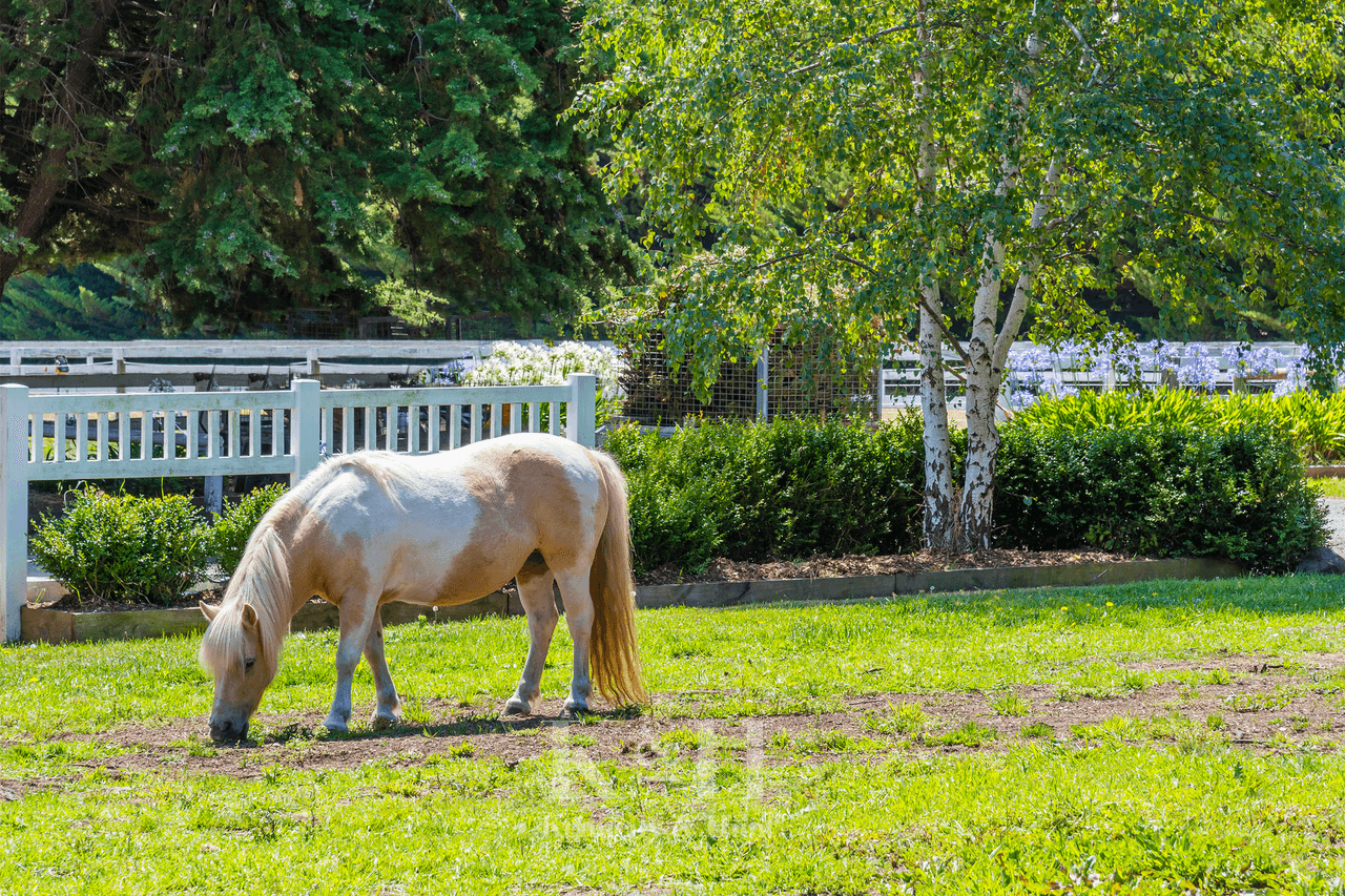 66 McGregor Road, Gisborne, VIC 3437